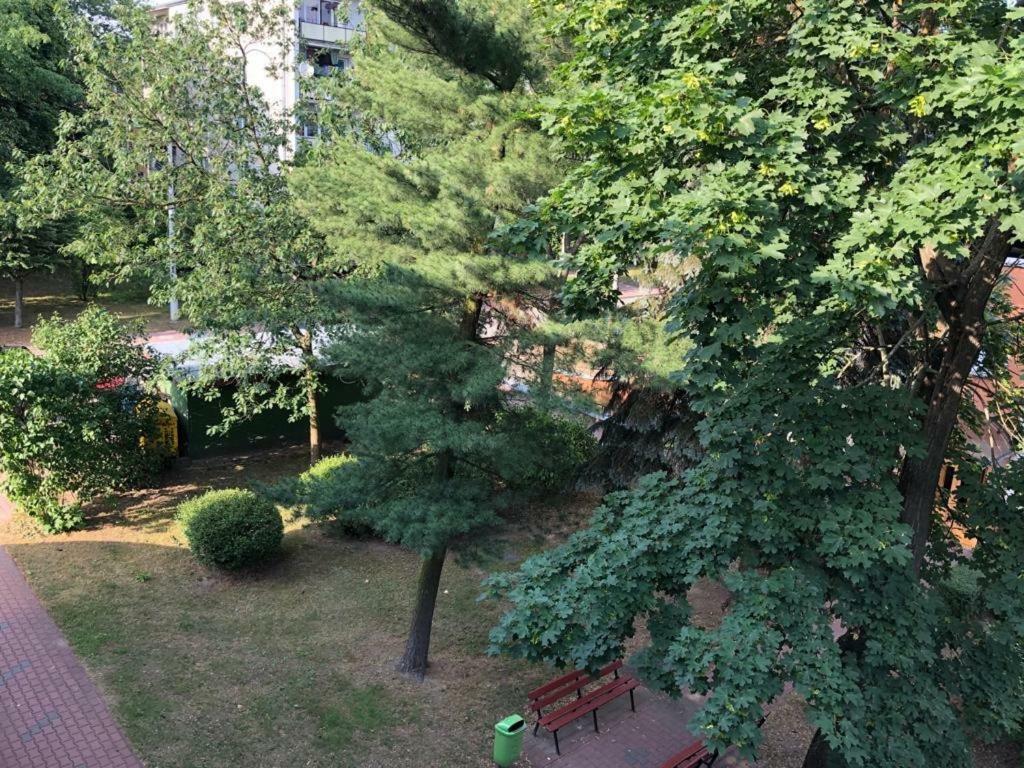 比亚瓦波德拉斯卡Chrobrego 269公寓 外观 照片